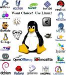 Penguin and Logos