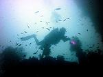 Diving the HTMS Khram Shipwreck