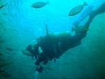Diving the HTMS Khram Shipwreck