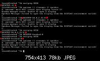 BSD: Getting the WM loaded-freebsd-no-awesome-cinnamon-openbox2jpg