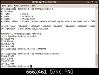 2 commands in script wont work together-screenshot-philip-philip-desktop-.png