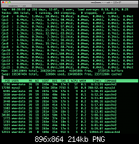Number of CPU'S in UNIX box-screen-shot-2012-11-12-13947-pmpng