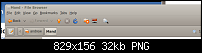 Ubuntu / Ubuntu File Manager / Config-screen-shot-2010-04-26-112800-ampng