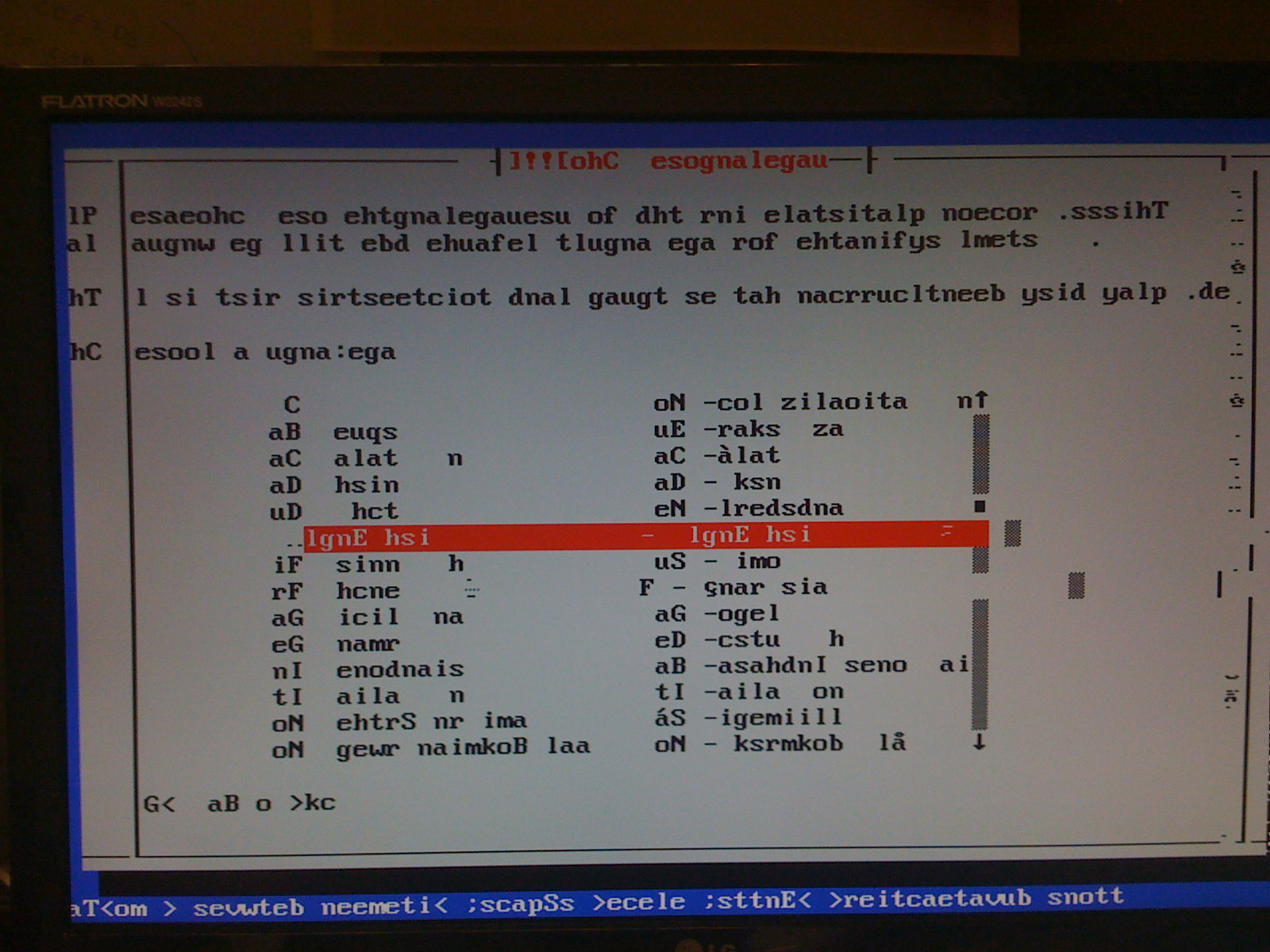 Ubuntu 8 SPARC edition problem jumbled text at install-img_0069jpg