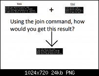 BASH join command error PLS-linuxqpng