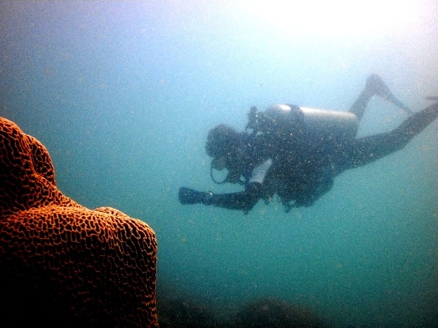 Diving North Rock