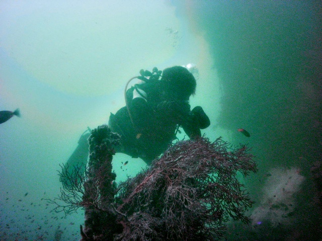 Diving the HTMS Khram Shipwrec